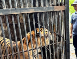 Joko Widodo Ajak Masyarakat Isi Liburan Sekolah di Semarang Zoo